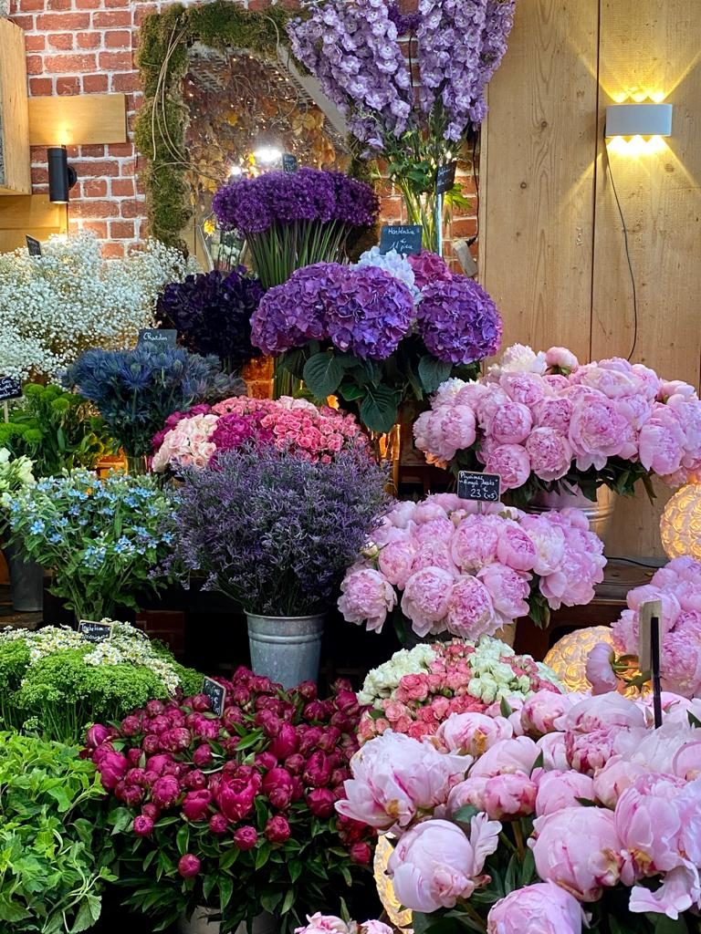 Hortensias bleus, roses et blancs
