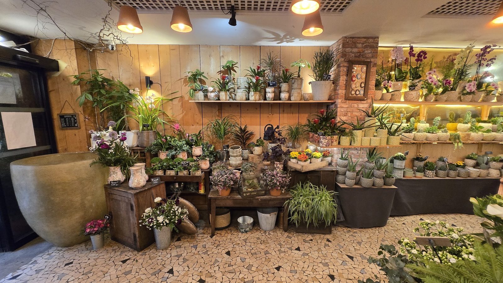 Le coin des plantes : étagères en bois, orchidées et plantes vertes